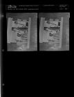 Fish Re-Photographed (2 Negatives) (April 29, 1961) [Sleeve 95, Folder d, Box 26]